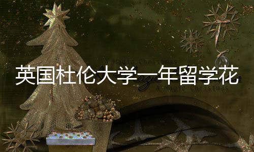 花费指南英国一年预算杜伦大学留学